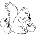 asso_ecureuils