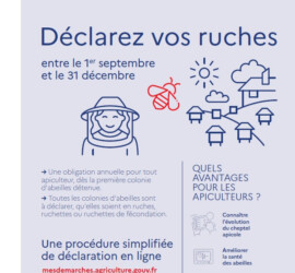 Pensez à déclarer vos ruches !